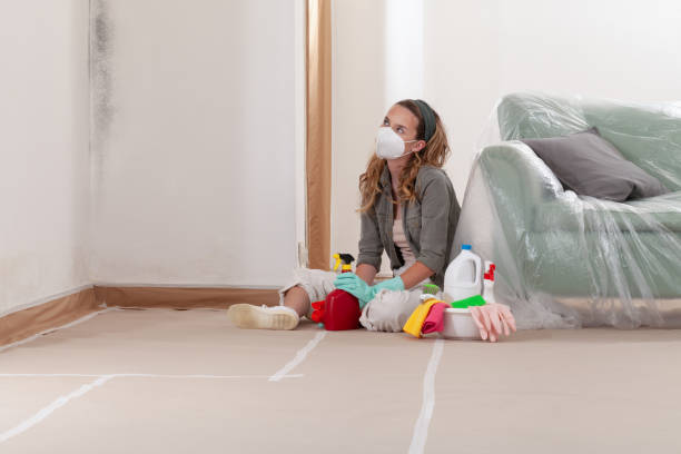 Reliable Commercial Mold Remediation contractor in Brentwood, NY by WQB Mold Removal